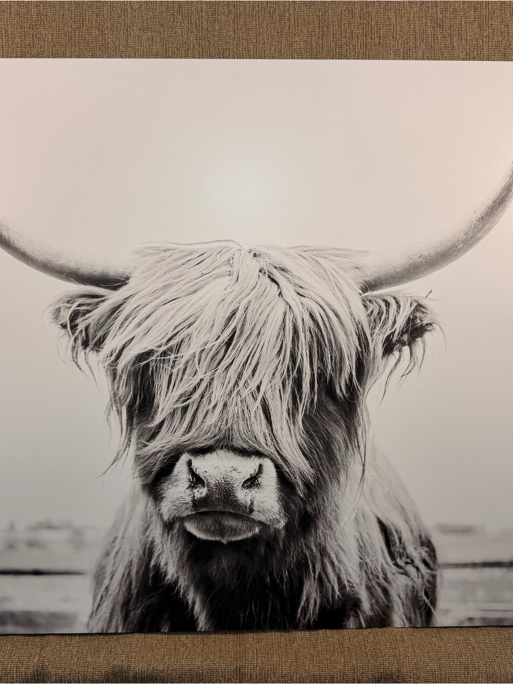 Shutterfly Highland Cow Black & White Mounted Wall Art (24x36)